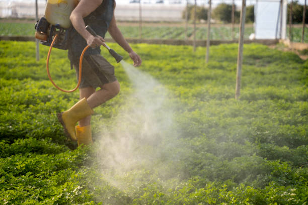 Trusted Lake Lotawana, MO Pest Control Experts