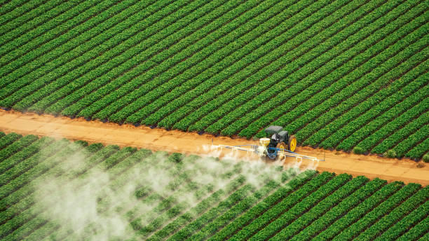 Best Pest Inspection Near Me  in Lake Lotawana, MO