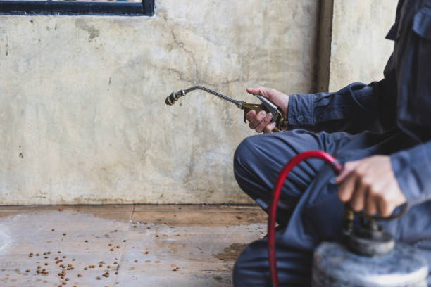Best Pest Prevention Services  in Lake Lotawana, MO